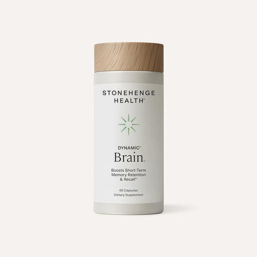 Dynamic Brain