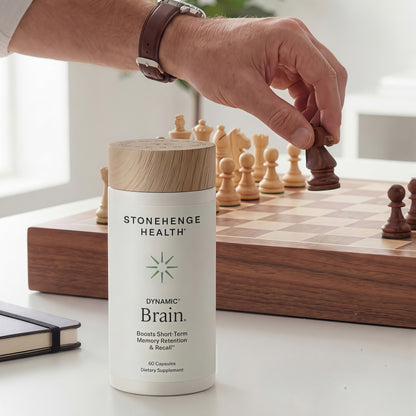 Dynamic Brain